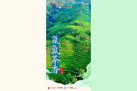 跟着霞客体验有一种叫云南的生活·氤氲茶香之旅图片