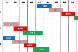 USDA8月报告前瞻：美豆下一步将走向何方？图片