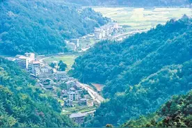 180余年的古法造纸术，竟深藏在永嘉的大山深处!图片