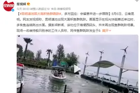 昆明滇池大面积鱼群跳跃 多方回应：或是天气闷热、缺氧等因素引发图片