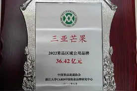 品牌价值36.42亿元 “三亚芒果”连续5年上榜中国果品区域公用品牌价值榜图片