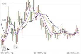 最新险资重仓股曝光，押宝这只ST股35个季度图片