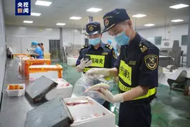 供澳门冰鲜水产品今起实施“三联三同”监管新模式 通关省时超50%图片
