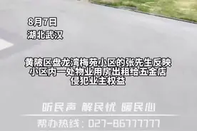 极目帮办|物业办公用房变五金店，武汉相关部门：已督促整改图片