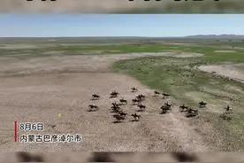 “当我们坐摇摇车的时候，他已骑马夺冠了”图片