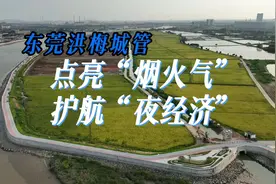 烟火街巷②丨东莞洪梅城管：点亮“烟火气” 护航“夜经济”图片