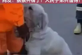 涿州水灾中，狗狗被救后感激地紧紧抱住消防员大腿，网友：狠狠共情了！人民子弟兵值得！图片