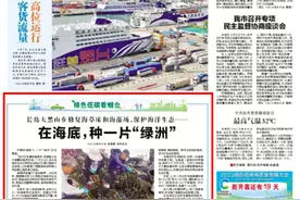 绿色低碳看烟台②|在海底，种一片“绿洲”图片