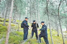 祁连深处，见证坚守的力量——记“祁连守山人”王金生图片