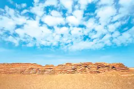 敦煌与她的守护者图片