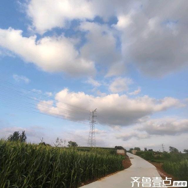谭天章｜现代诗《秋意》