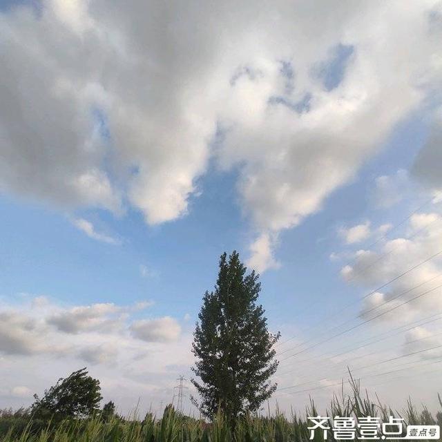 谭天章｜现代诗《秋意》