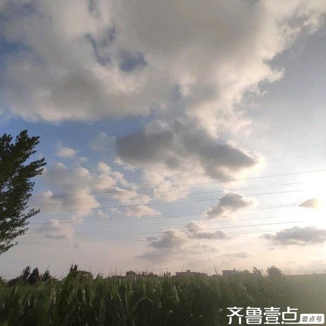谭天章｜现代诗《秋意》