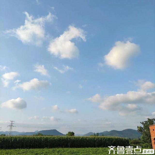 谭天章｜现代诗《秋意》