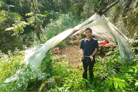 消失的黑熊！重庆巫溪警方全链条打击一起危害珍贵濒危野生动物案图片