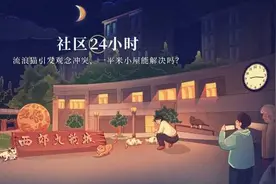 流浪猫的生活意见：1平米小屋是居民的最大公约数吗？图片