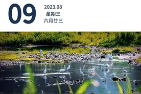 广深港高铁改签有新突破 | 早安广东图片