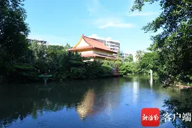 原创组图 | 海口湖中寺：闹市区中难得的曲径通幽处图片