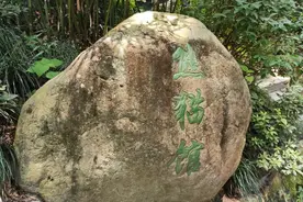 呼叫杭州，您的“萌兽”大熊猫今日已从成都启动运输，请注意查收！图片