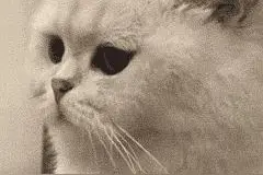 孩子爱玩游戏？建议每个家长都看看！图片