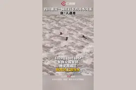 C视频丨雅安市雨城区一网红打卡点河水突涨，目前7人遇难、4人获救图片
