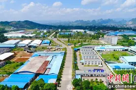 广西荔浦多举措推动实体经济发展壮大图片