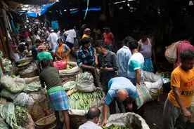 印度食品价格飙升，增加粮食储备成印度政府大选前关键策略图片