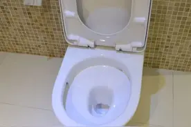 马桶上有两个冲水按钮，大部分人都按错了！赶紧看看~图片