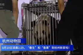 杭州欢迎你！熊猫“春生”“香果”凌晨到家图片