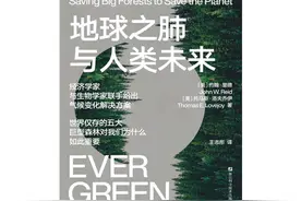 《地球之肺与人类未来》聚焦全球巨型森林图片