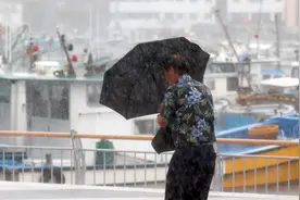 “卡努”将给韩国全境带来狂风暴雨，政府建议调整工作时间图片