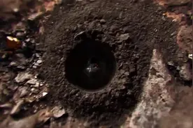 592吨！揭秘山东黄金集团世界级全国最大单体金矿床探获过程图片