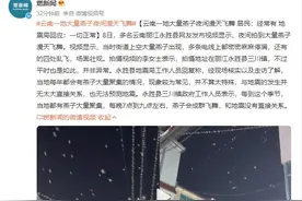 云南一地燕子漫天飞舞 地震局回应：无法预测地震，没有直接关系图片