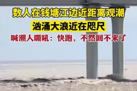 数人在钱塘江边近距离观潮，汹涌大浪近在咫尺。喊潮人嘶吼：快跑，不然回不来了。图片