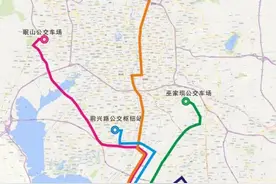 方便逛展！昆明公交临时开通5条“南博”直达车图片