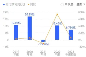 国内最大单体金矿探矿权将注入山东黄金，潜在经济价值超2000亿元图片