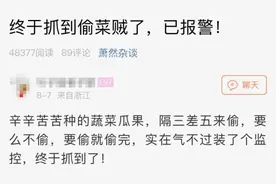 浙江网友装了个监控，报警两天后发来后续！下次还敢吗？图片