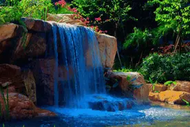 作家在线｜孙会昌：听秋蝉激鸣图片