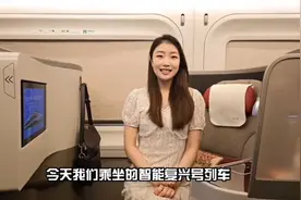 12306上带“智能动车”标志的列车，有啥不一样？图片