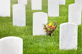 乌克兰一公墓转移600多具苏军遗骸，改建为乌阵亡士兵纪念馆图片