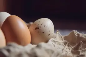 夏天鸡蛋买回家，记得先做这一步→图片