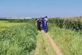 辽宁锦州4岁女童在玉米地走失，次日在1公里外安全被找到图片