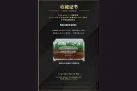 工体出售梅西中国行草坪引争议，17年前明星赛事草坪已溢价上千元图片