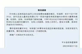 邢台天空突现大面积黄色烟雾，官方深夜通报图片