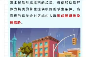 洪水过后病媒生物可能会造成哪些危害，如何防制？图片