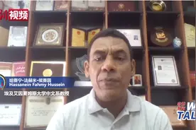 汉学家哈赛宁：埃及兴起汉语学习热潮图片