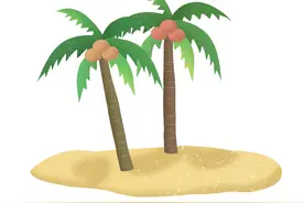 如何辨别椰子是否新鲜？选购“五步法”学起来图片