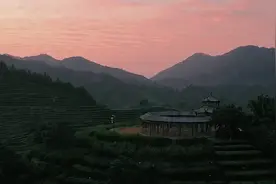 （文化潮州）潮州工夫茶：凤凰单丛图片