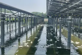 以文明力量助推业务发展，肇庆建行获“省五一劳动奖状”图片