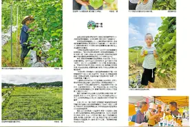 视觉|200亩百香果成熟上市，梅县梅西镇罗墩村果农迎来“甜蜜时光”图片